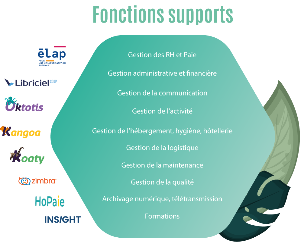 fonctions supports - esms numérique